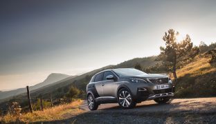 Peugeot 3008 (2019)